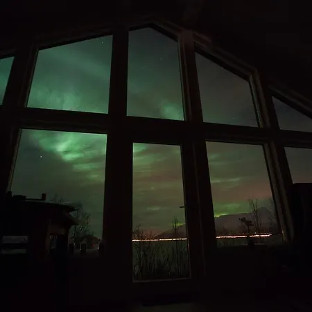 Aurora View Lyngseidet