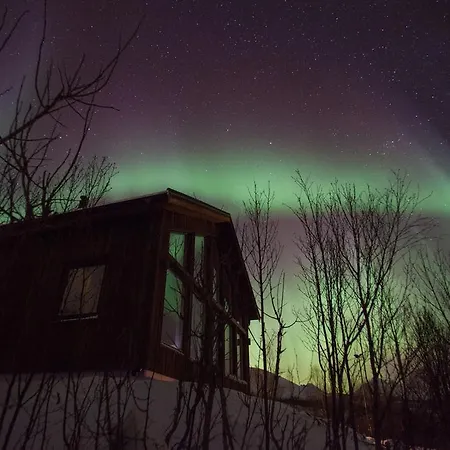 Aurora View *