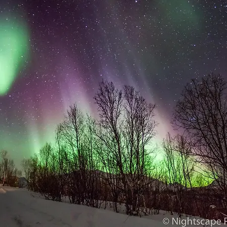 Aurora View 펜션