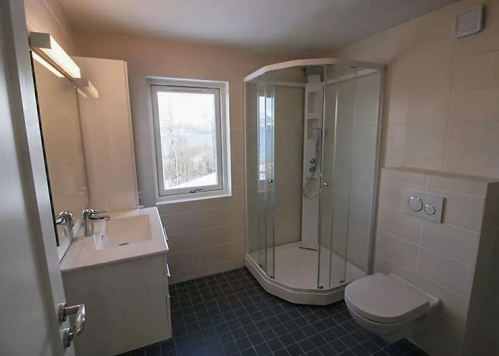 Aurora View Lyngseidet