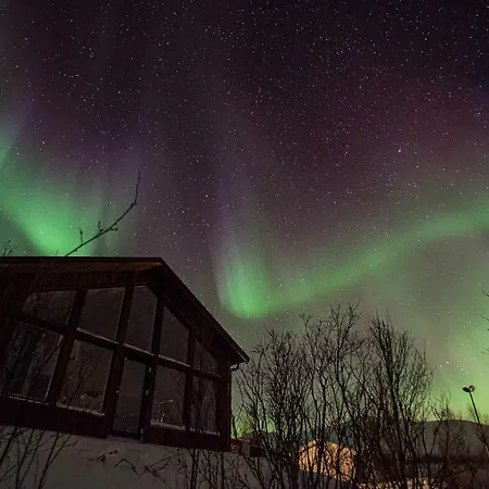 Aurora View Lyngseidet