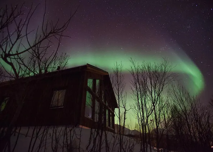 Aurora View *