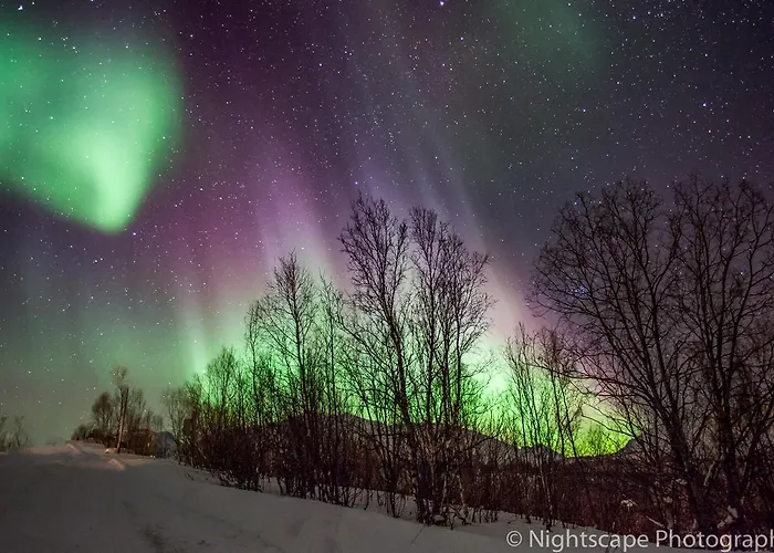 Aurora View Feriehus