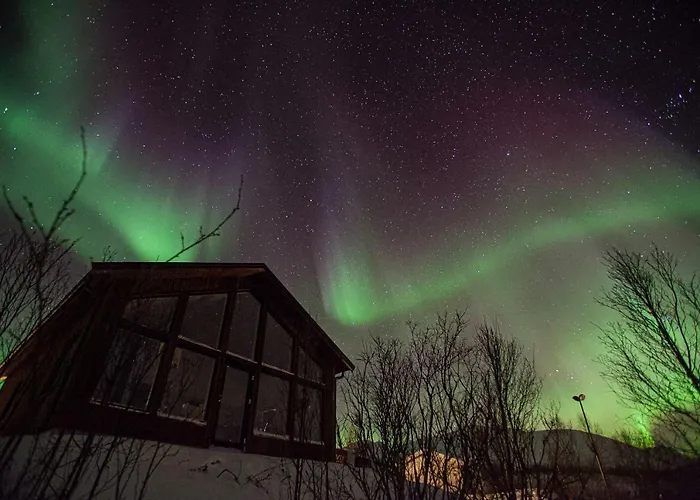 Aurora View Lyngseidet